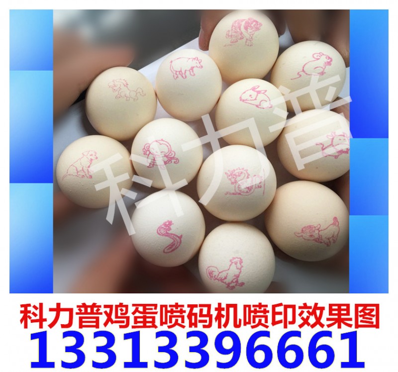 雞蛋上噴字的機器-科力普雞蛋噴碼機13313396661